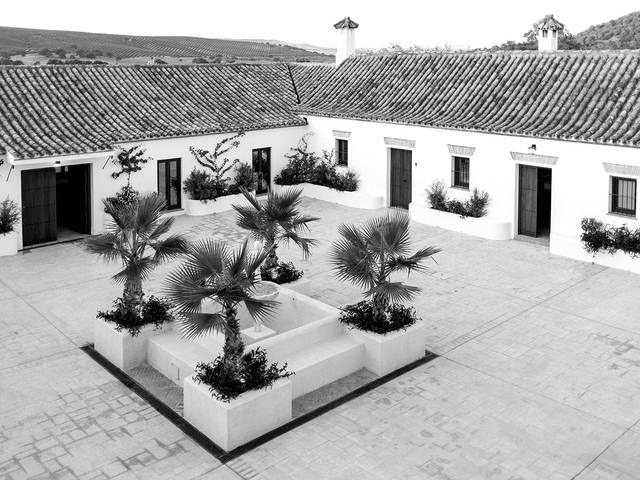 Patio de la finca con palmeras
